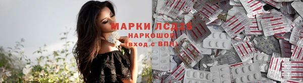 спиды Богородицк