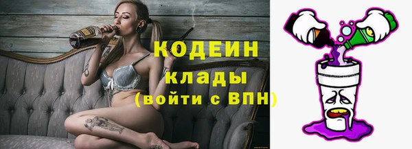 спиды Богородицк