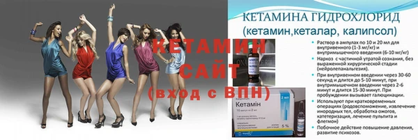 спиды Богородицк
