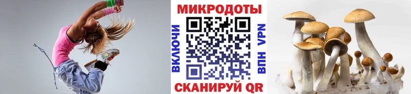 Псилоцибиновые грибы мицелий  наркошоп  Торжок 